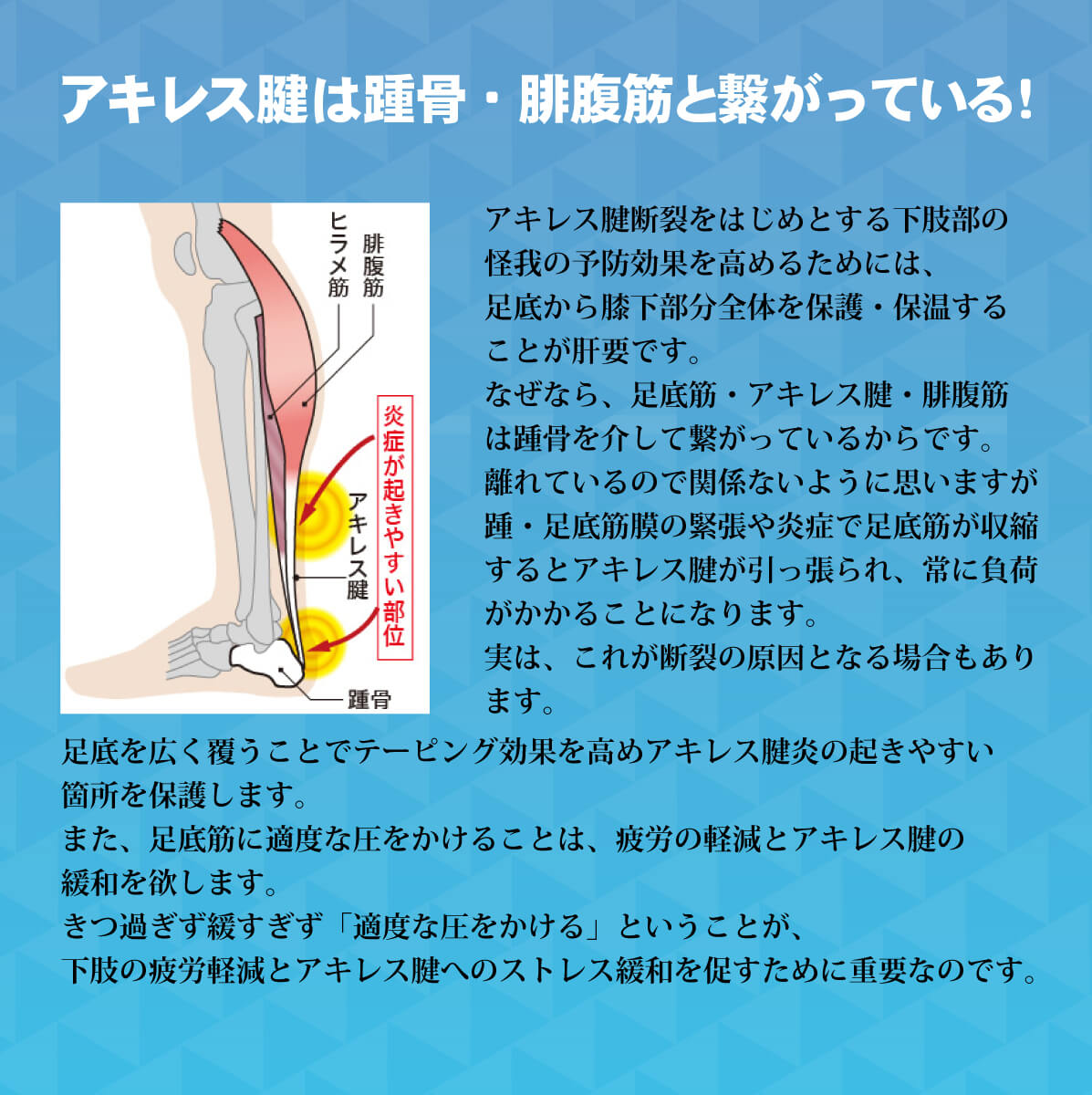 アキレス腱 保護サポーターEX